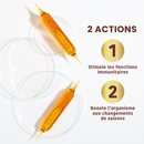 Ruche Royale - Royal Jelly 4000 Organic - 10 vials