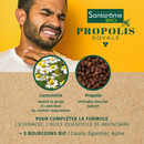 Propolis Royal Organic Gums