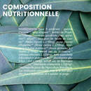 Organic Respi'Rub Gums