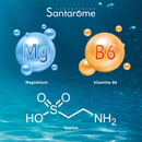 Magné 360 - 40 magnesium gummies