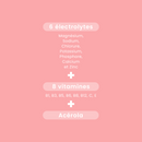 HYDRA'MAX Peach - 20 hydration tablets