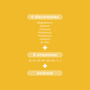 HYDRA'MAX Mango Pineapple - 20 hydration tablets