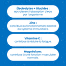 HYDRA'MAX Discovery Pack - 6 Flavors - Hydration Lozenges