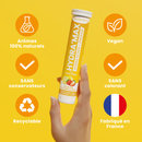 HYDRA'MAX Discovery Pack - 6 Flavors - Hydration Lozenges