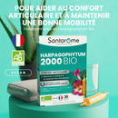 Harpagophytum Organic 2000 - 20 ampoules