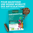 Harpagophytum Organic 2000 - 20 ampoules