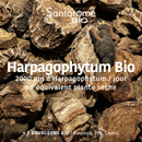 Harpagophytum Organic 2000 - 20 ampoules
