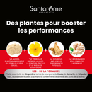 Maca 1500 Tribulus Ginseng Ginger - 30 tablets