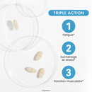 Magné 360 Max LP – Extended Release