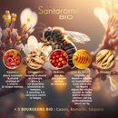 Ginseng Guarana Acerola Ginger Honey from Manuka Bio - 20 ampoules