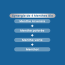 Organic Headache Roll-on