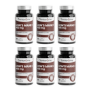 Lion's Mane + 400 mg - 60 gélules