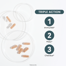 Zinc Bisglycinate + 15 mg + Vitamines B5/B6 - 60 Gélules