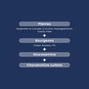 Myostéo Joint Comfort - 20 ampoules