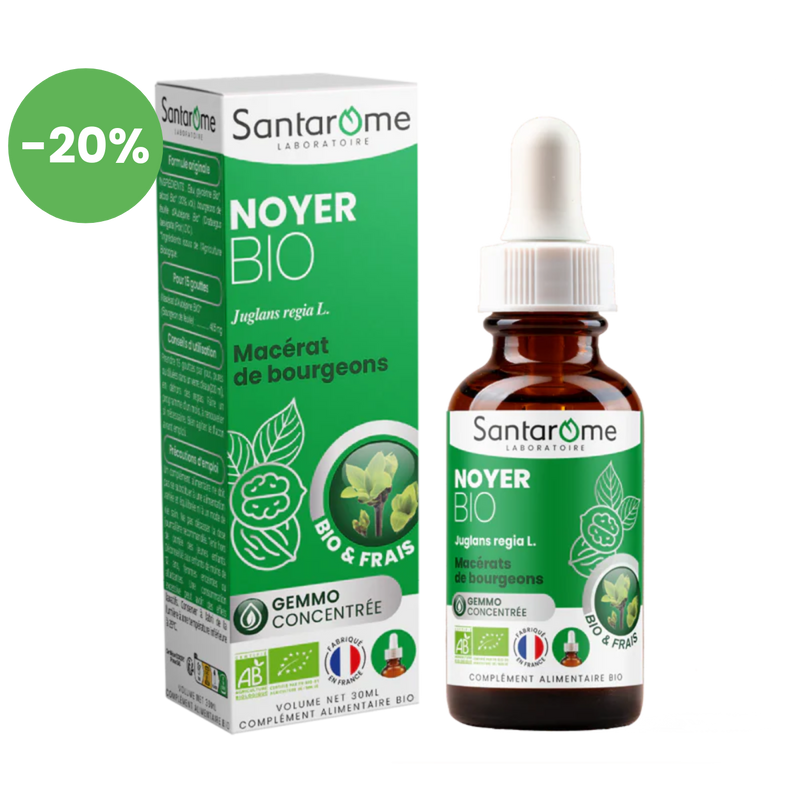 Bud Extract - Organic Walnut