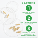 Digestion Pack - Capsules