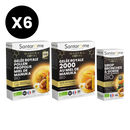 Manuka Royal Immunity Pack - Vials