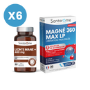 Pack Mémoire et Concentration - Lion's Mane + Magnésium