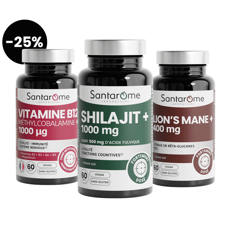 Pack Focus & Cerveau : Lion’s Mane, Shilajit & B12