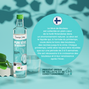 Pure Organic Birch Sap