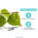 Pure Organic Birch Sap