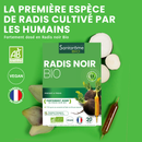 Radish Black Organic - 20 ampoules