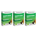 Radish Black Organic - 20 ampoules