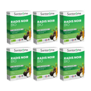 Radish Black Organic - 20 ampoules