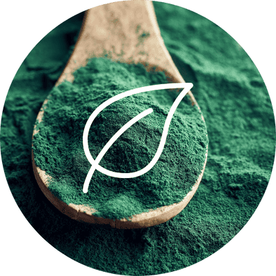 Spiruline