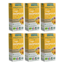 Propolis Royale Organic Syrup