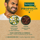 Propolis Royale Organic Spray