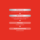 Multivitamins Vita'Max Effervescent - 20 tablets