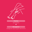 Organic Red Vine - 20 Vials