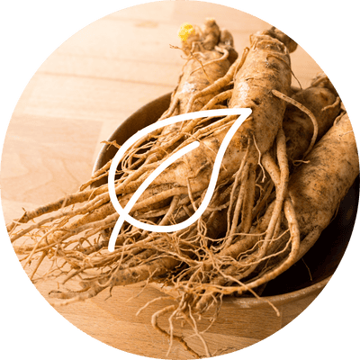 Ginseng